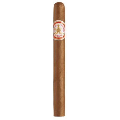 Hoyo de Monterrey Churchills